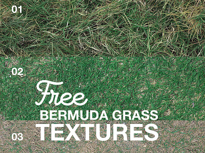 Free Bermuda Grass Textures