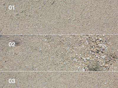 Free Sand Textures free texture sand sand texture texture textures