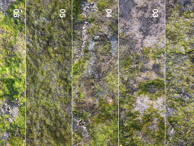 Free Moss Textures