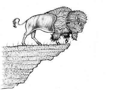 Bison illustration ink sketch stipple