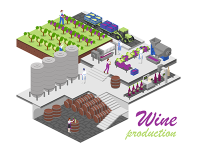 Wine Production illustration isometric manufacturing wine