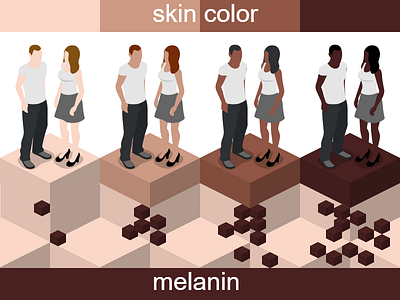 Skin Color Palette color palette isometric template