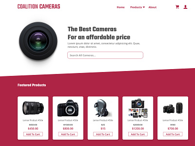 cameras camera website