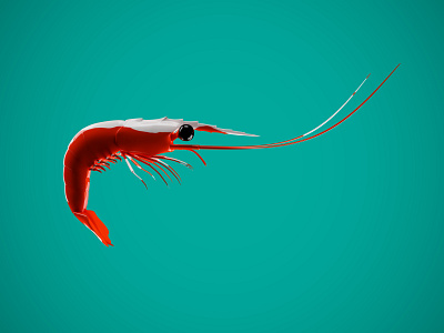 Shrimp 3D rendering