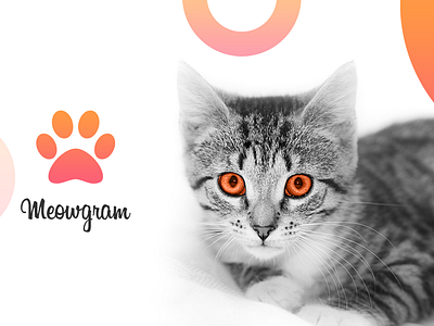 Meowgram - Mobile App