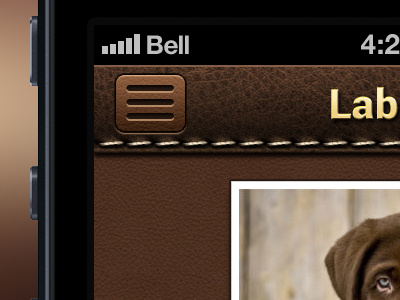 Dog Breed dog interface ipad iphone ui