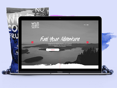 Wildcoast Fruit Co Site Design clean health homepage nature web design website