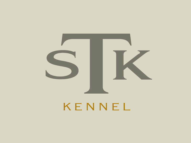 Spin Top Kennel Logo (WIP)