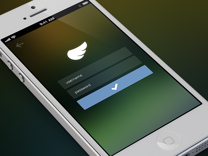 Screen examples. Login Design IOS.