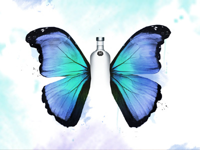 Into the Absolut absolut bottle redesign butterfly