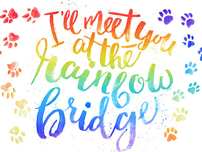 "I'll Meet You At The Rainbow Bridge" Typographic Piece apparel design cats dogs handwritten type pets rainbow watercolor