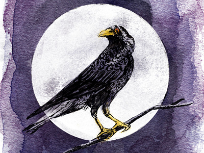 Black Crow Blackberry Wine Illustration crow feathers ink messy moon sketch textures watercolor