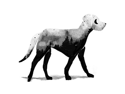 Wanderer adventure dog forest illustration ink mystical night sky soul stars