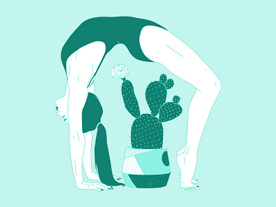 Prickly Gymnastic illustration nature vector