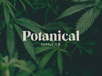 Potanical Supply Co. brand identity branding cannabis dispensary highend logo design logotype typography wordmark