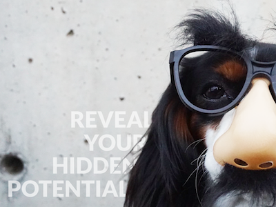 Reveal Your Hidden Potential - Digital Ad