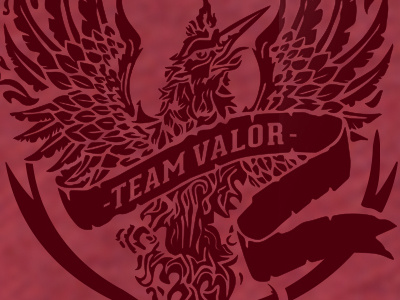 Team Valor pokemon red team team valor