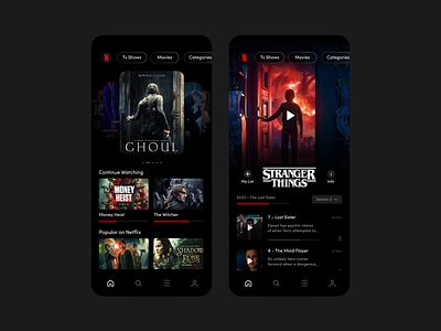 Netflix App Concept