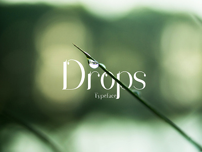 Drops Typeface drops font identity logo logotype rain typeface typography