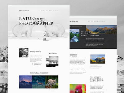 Fotograf divoké přírody graphic design photographer ui webdesign wild nature