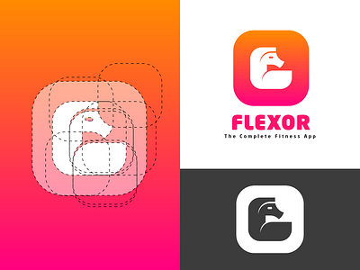 Flexor Logo Construction