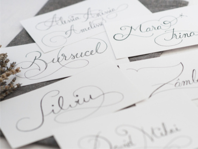 Cards calligraphy flourish flowy handlettering lettering name names pen script type typography