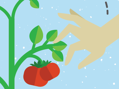 Sustainability hand illustration plant tomato