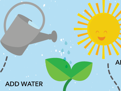 Sustainability illustration plant sun water watering can