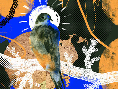 Cosmic birds. Art kit. Premade composition art artist background branding collection creativemarket design digital illustration illustration illustration art kit nature watercolor