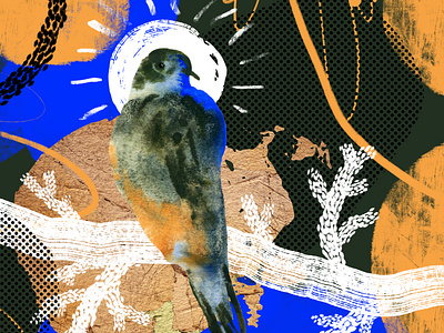 Cosmic birds. Art kit. Premade composition