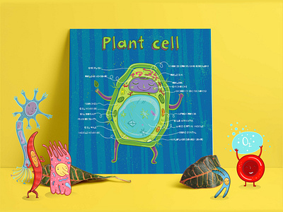 Cells biology blood cell cartoon character cell illustration neuron plant plant cell vector