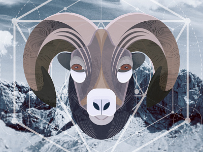 Sacred animal - Bighorn Sheep animal geometric geometry goat illustration mountain nature poster design sacred sheep vector vector illustration