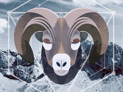 Sacred animal - Bighorn Sheep