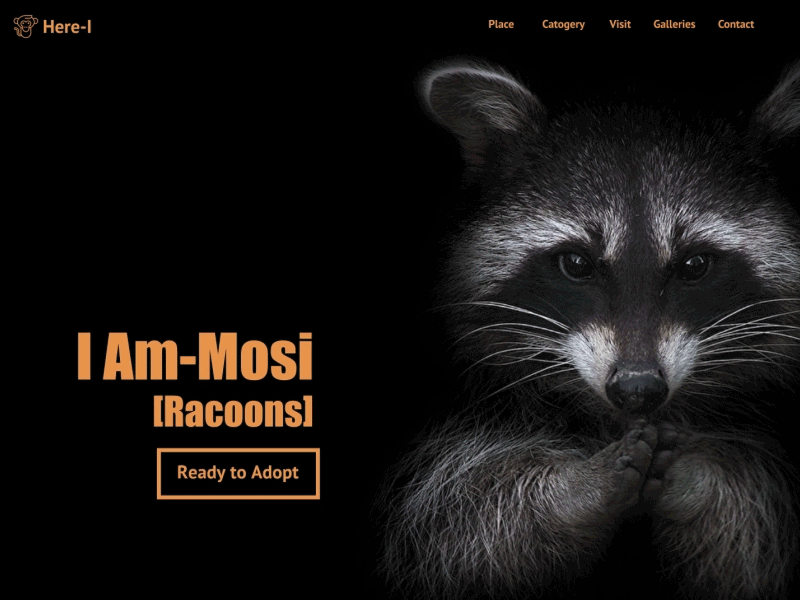 Animals_Adopt (UX | UI) animation animation after effects concept art design web