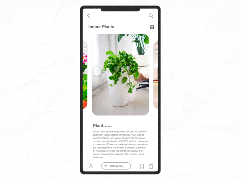 Indoor Plants (UX | UI) animation after effects mobile app ui ux