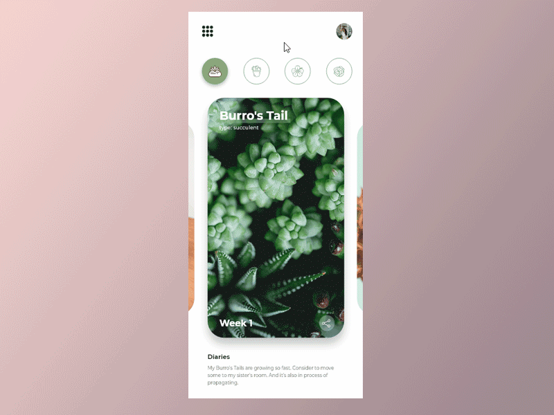 Social Share - My Garden Diaries 010 animation app dailyui dailyui010 dailyuichallenge design interface ios plant socialshare ui ux