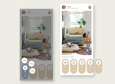 Home Monitoring for Pets 021 adobexd app camera dailyui dailyui021 dailyuichallenge design homemonitoring interface ios pet ui ux