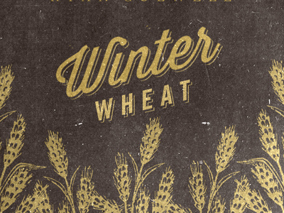 Winter Wheat 2 album cd cover music wheat