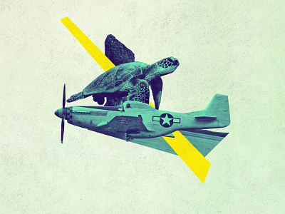 Don't Mess With The Caretta art collage collage art design digitalart illustration minimal modern plane turtle