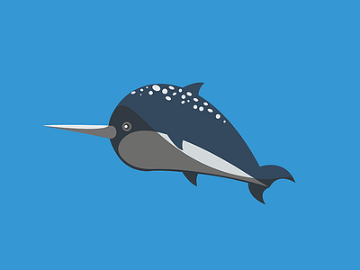 Narwhal Dribbble