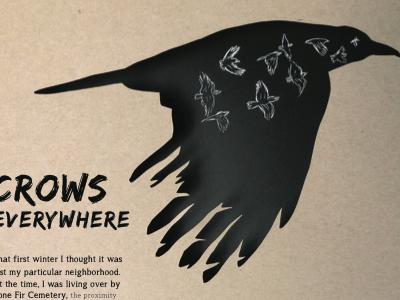 Crows Everywhere Magazine Article article crow cutout illustration magazine portland scratch board silhouette