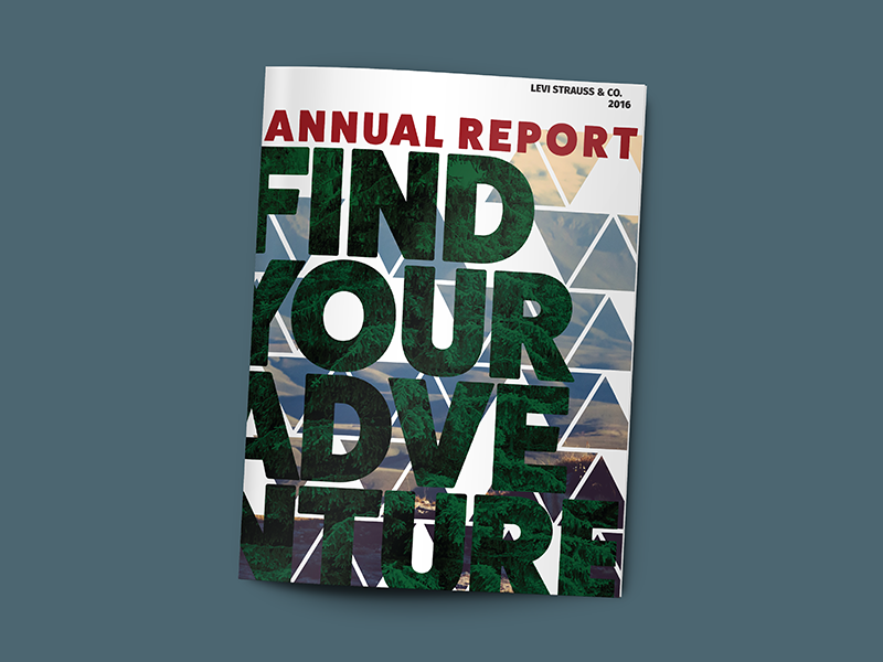 levi strauss annual report