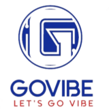 Govibe Start-up 