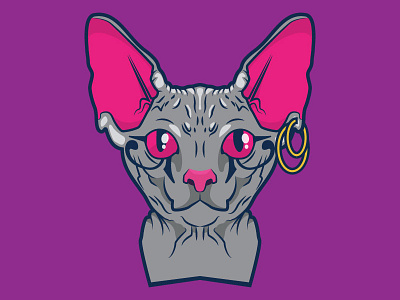 Sphynx Cat