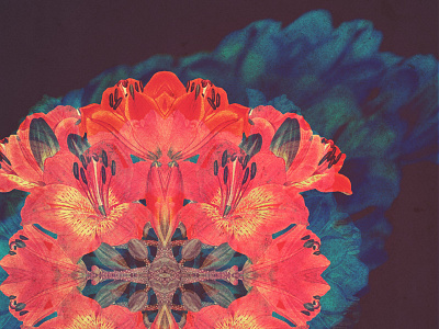 Vibrant revival. abstract collage flowers illustration scanner symmetry