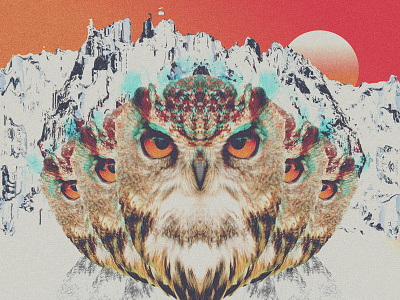 Infinite stare. birds collage eyes mountains nature owl owls photography psychedelic sky sunset symmetry