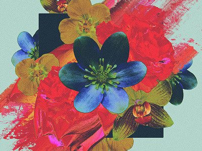 Amoret. collage explosion floral flowers geometric illustration psychedelic square