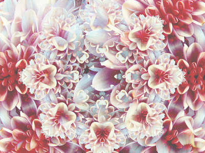 Pocket full of pollen. abstract collage design floral flowers kaleidoscope mirror pattern psychedelic symmetry texture
