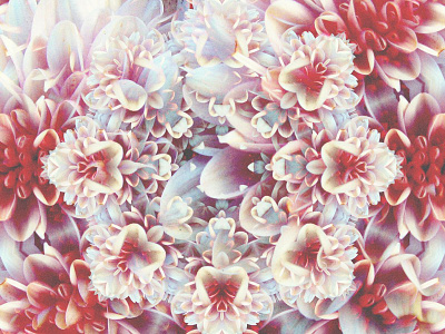 Pocket full of pollen. abstract collage design floral flowers kaleidoscope mirror pattern psychedelic symmetry texture