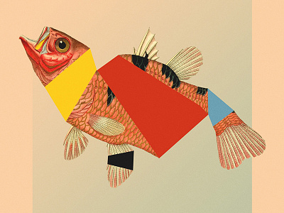 Sleep with the fishes. abstract collage fish geometric nature photoshop primary